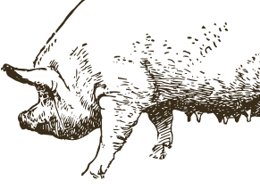 collection-banner-image