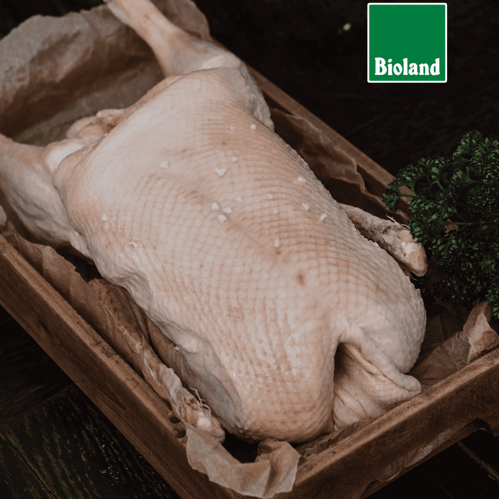 Bio-Weihnachtsgans, groß