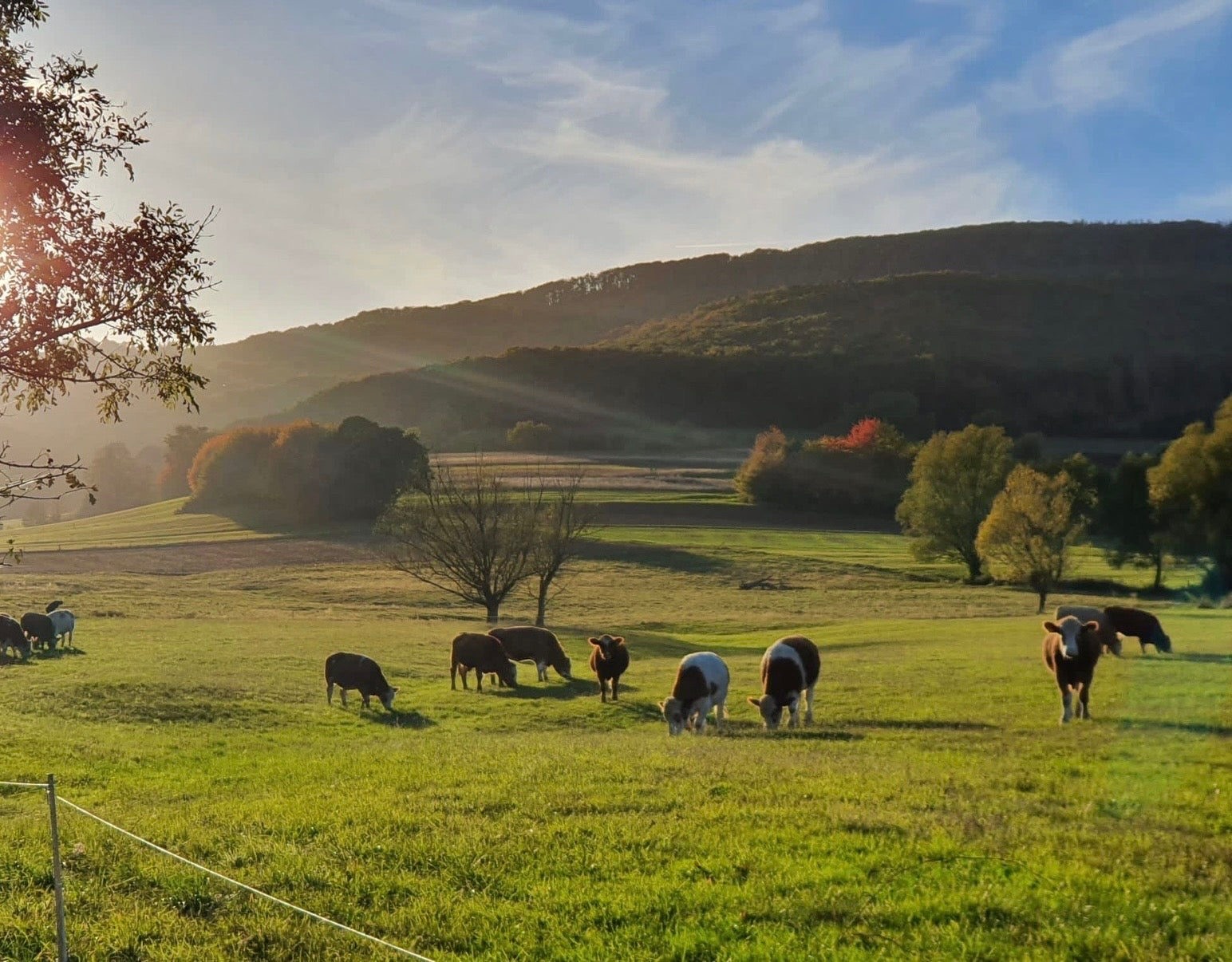 slider image slider_item_VHEU7e
